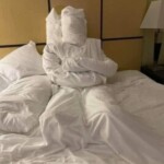 Group logo of Travel Pranks