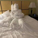 435145326_10232350115726019_7108184926437853633_n-3