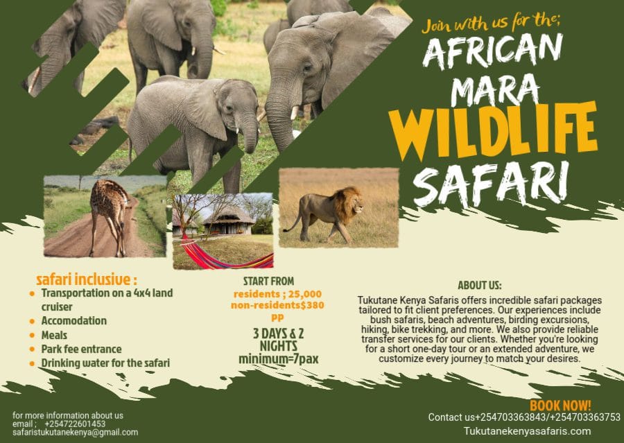 wildlife_tukutane_safaris_