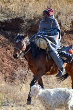 Tour-extended-25-299x450