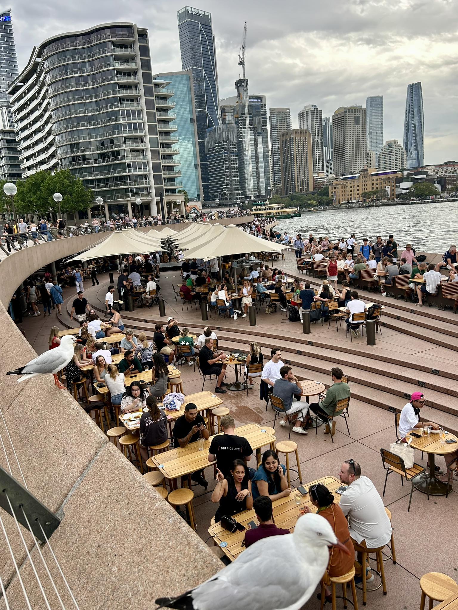 487429981_967822602208485_6075901642128200240_n