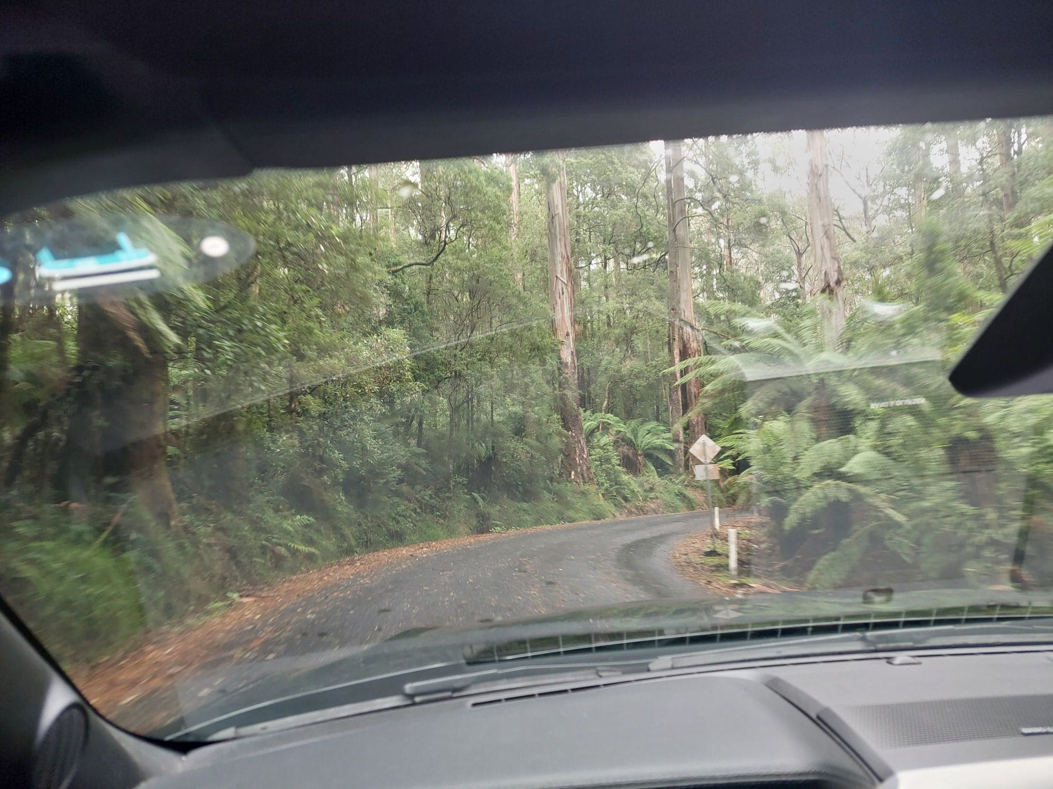 477573717_3028484543956941_5603636877773272942_n