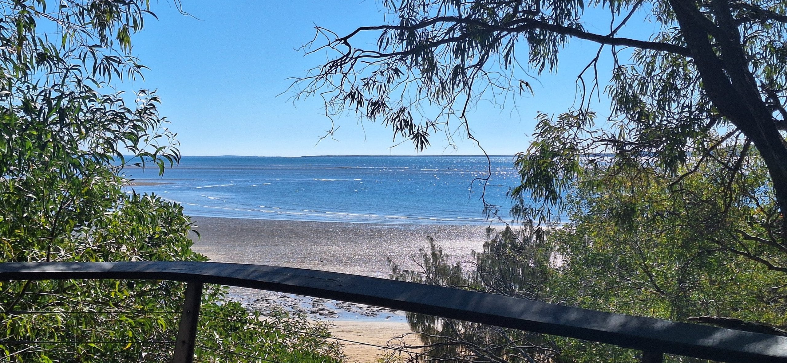 519914945_10233909563453701_1416854273793629297_n