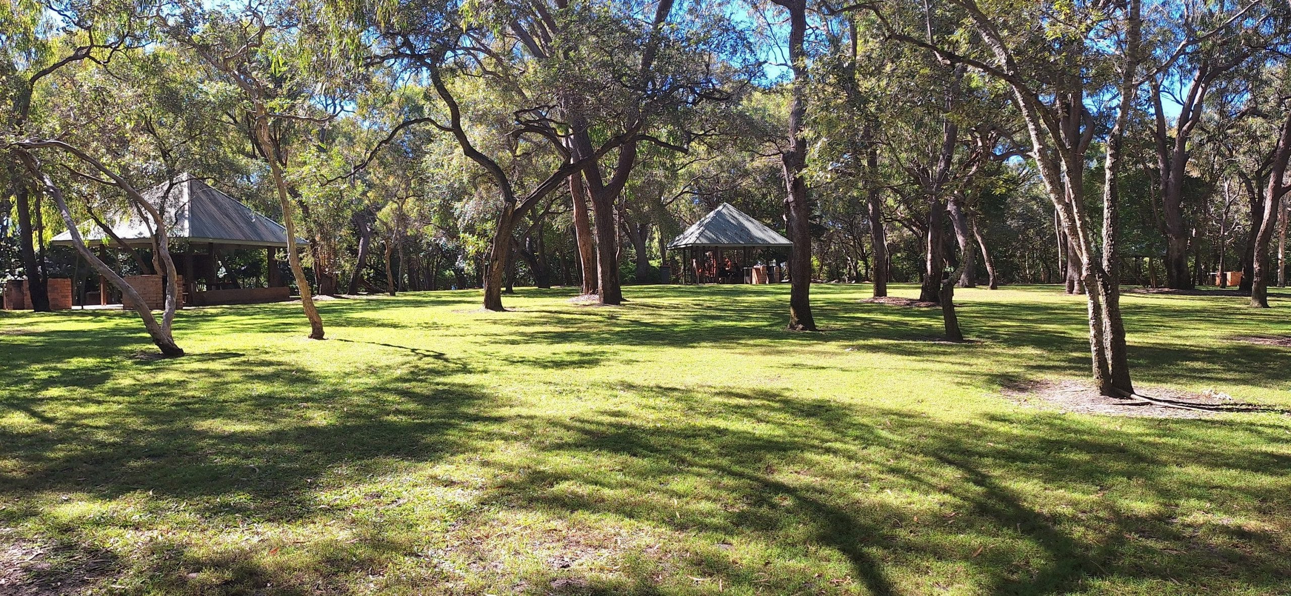 519915437_10233909565133743_1808649917328019282_n