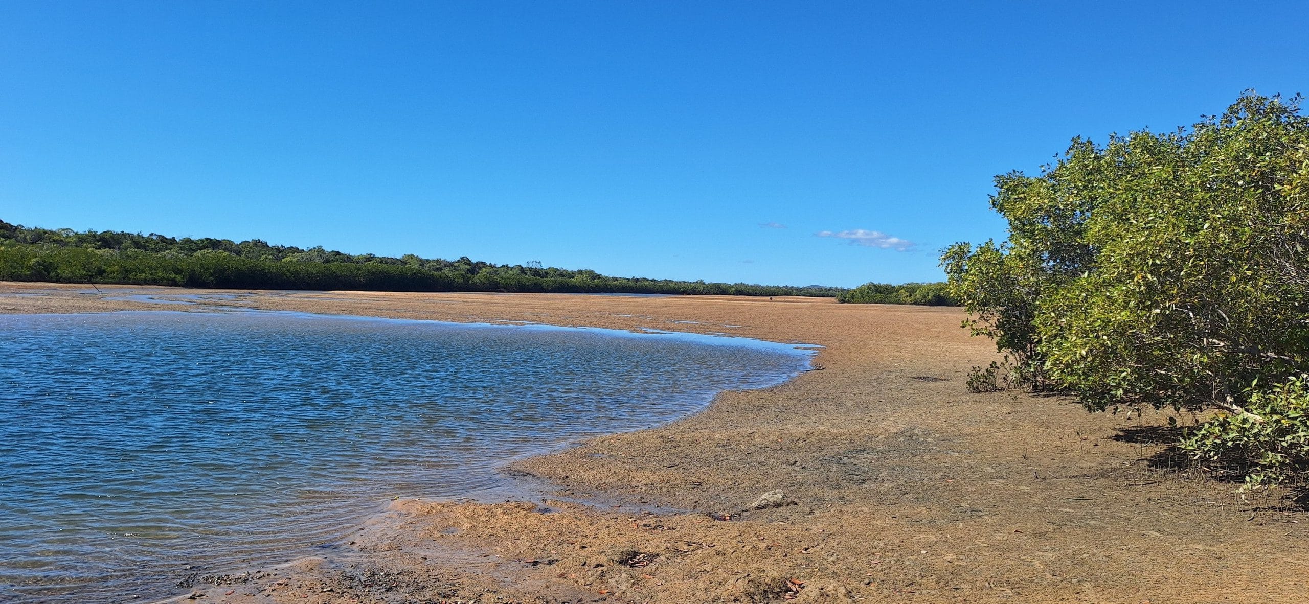 520590141_10233909561373649_5923943186858071102_n