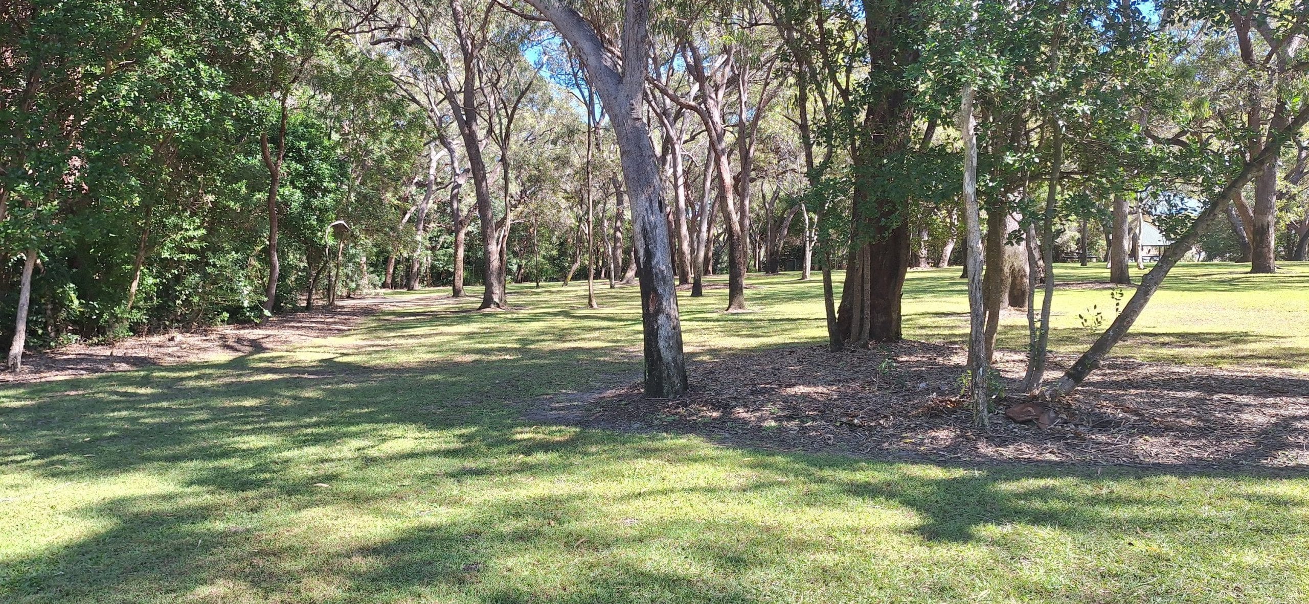 520839434_10233909561853661_5382060271341723969_n