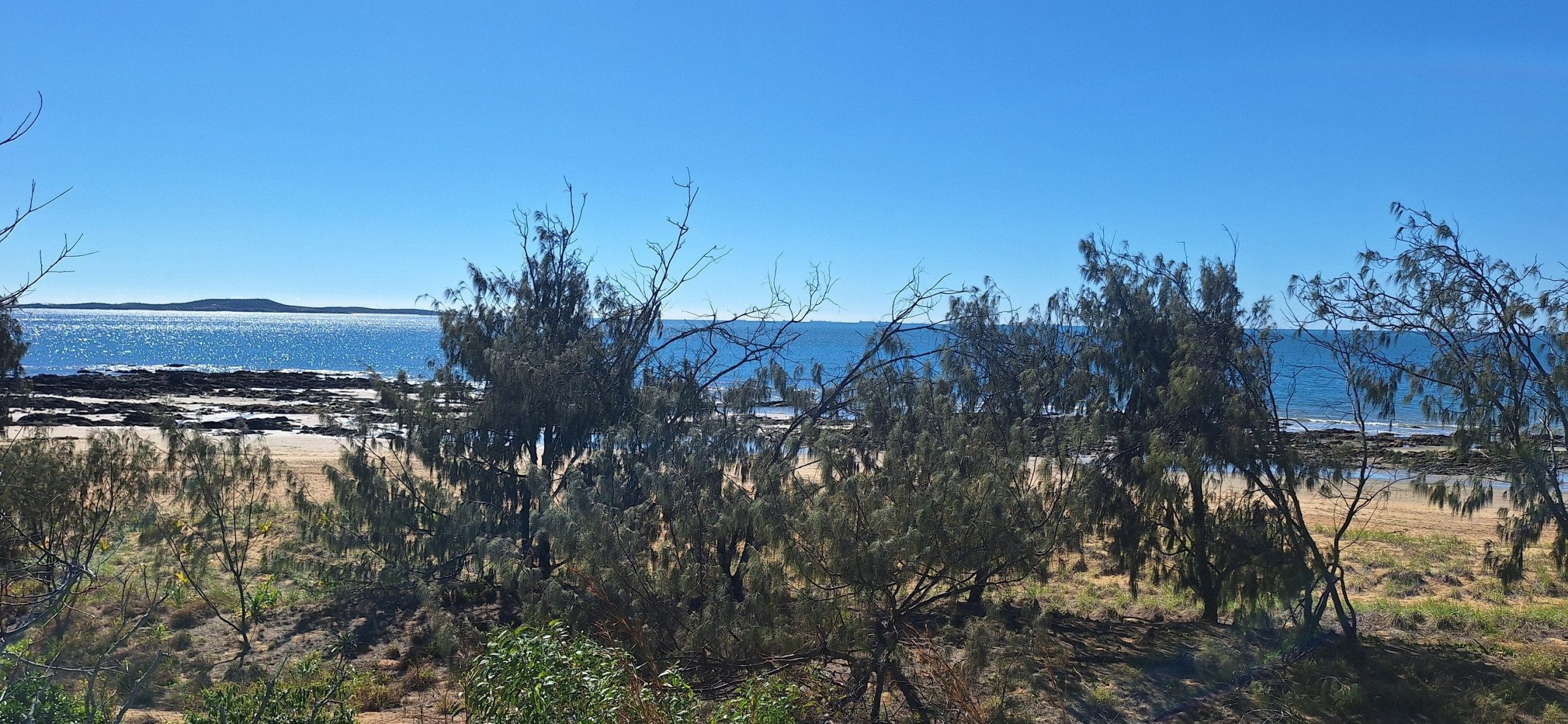 521657131_10233909562693682_8116780870683003729_n