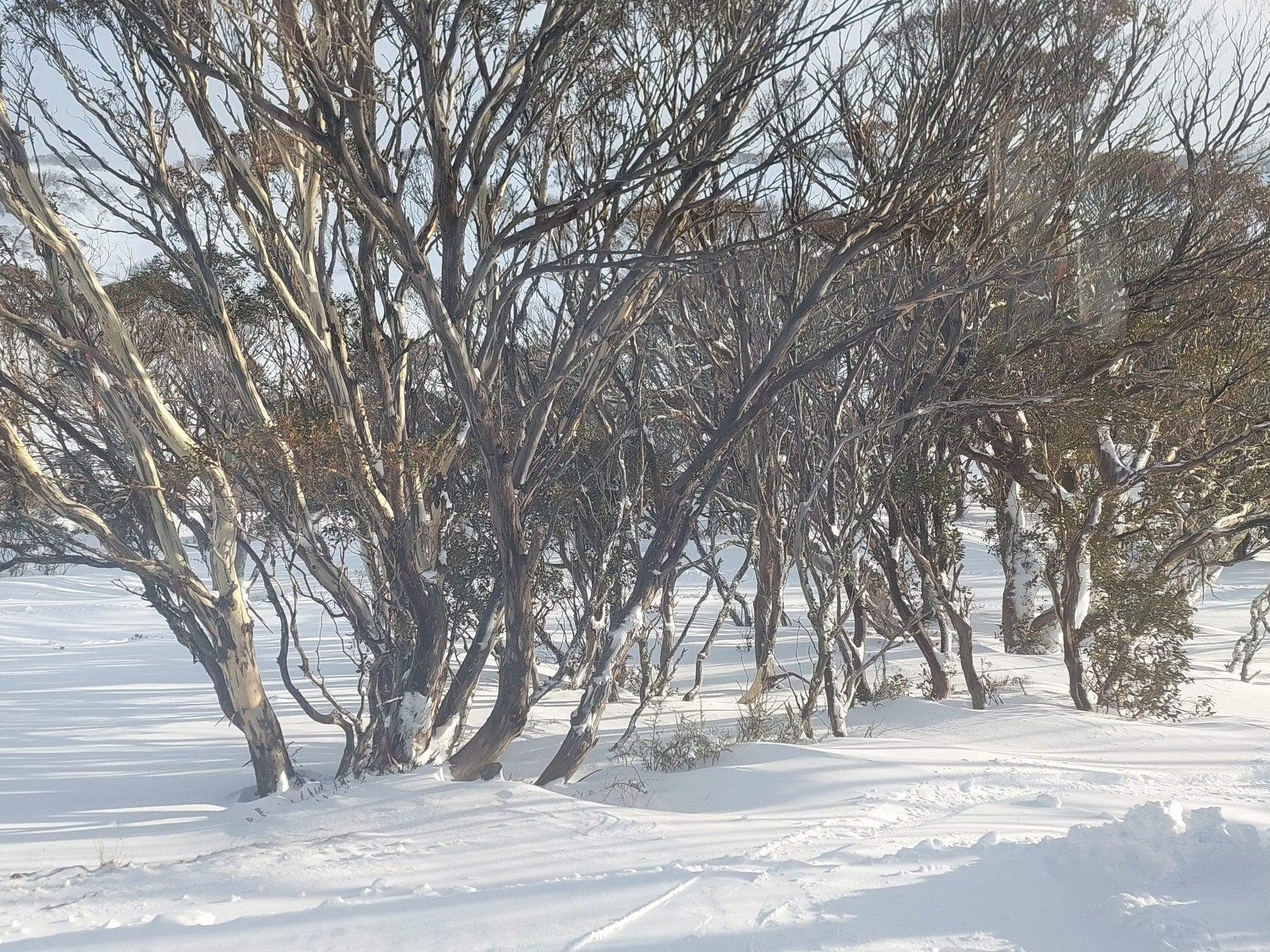 517683187_3193884937416900_738438467467241963_n