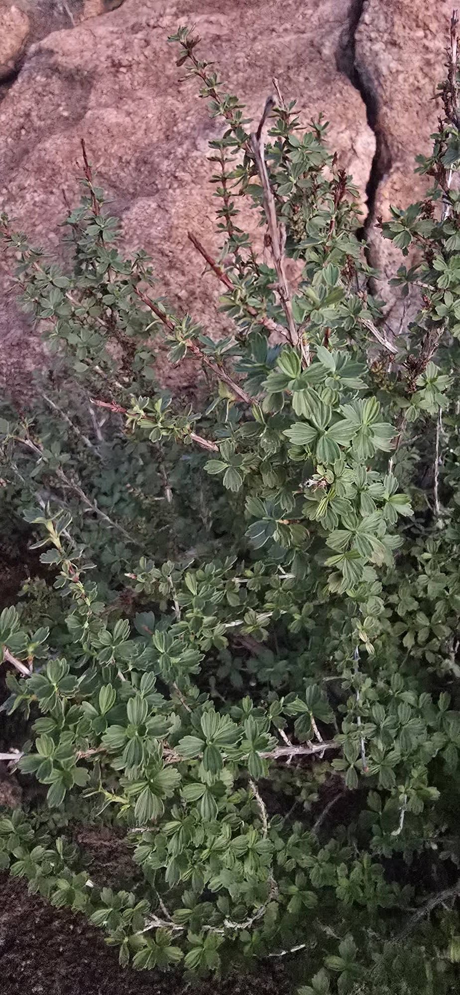 660281186_10162760524506463_3862829772323895076_n