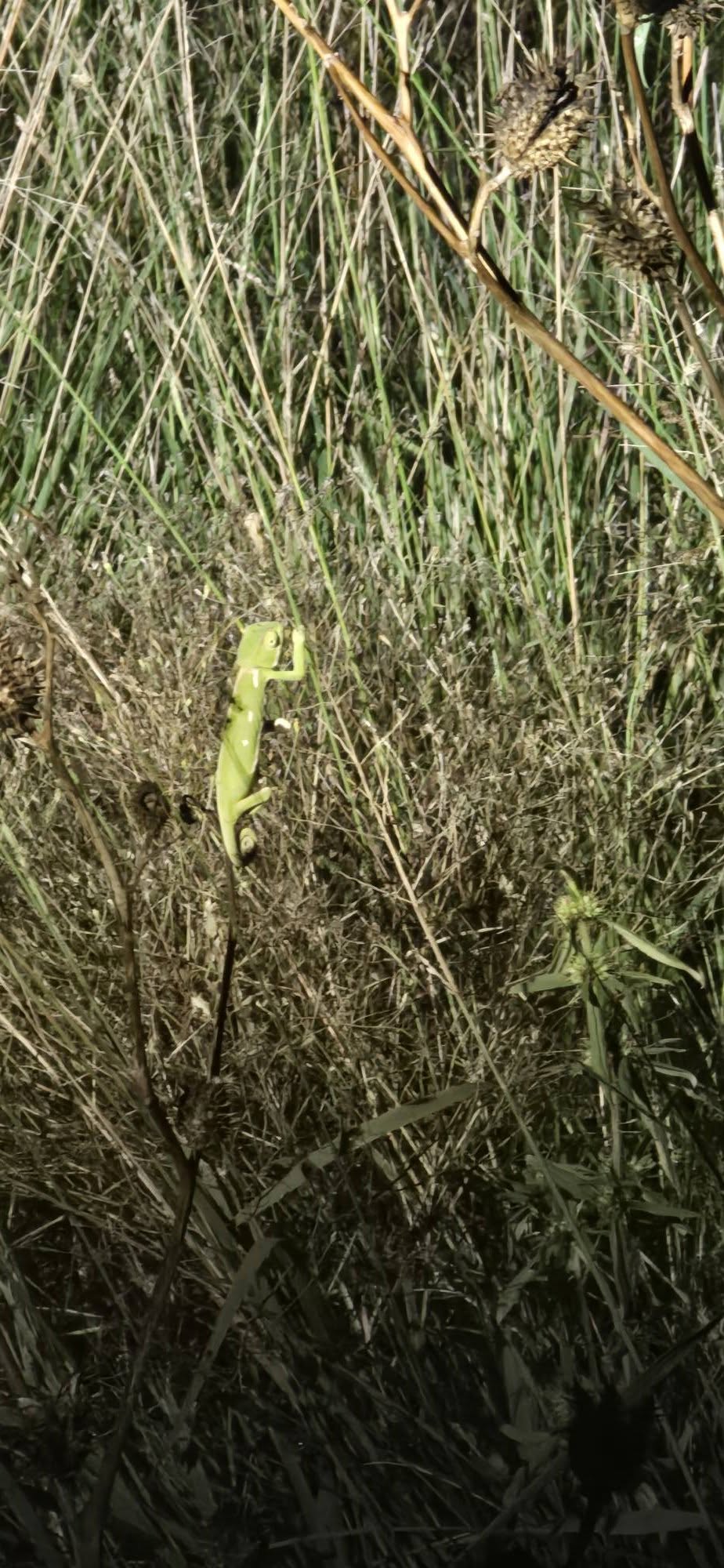 662955128_10162771164476463_5863302179917773099_n