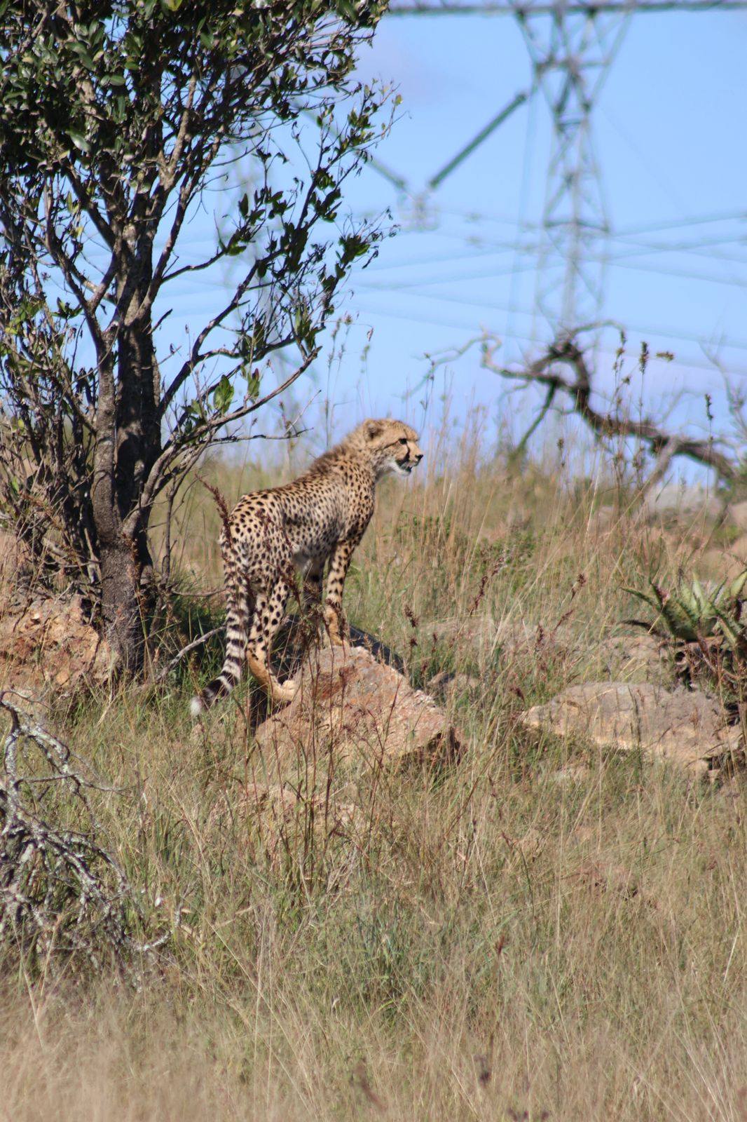 663068910_10162759285556463_705211048044589366_n