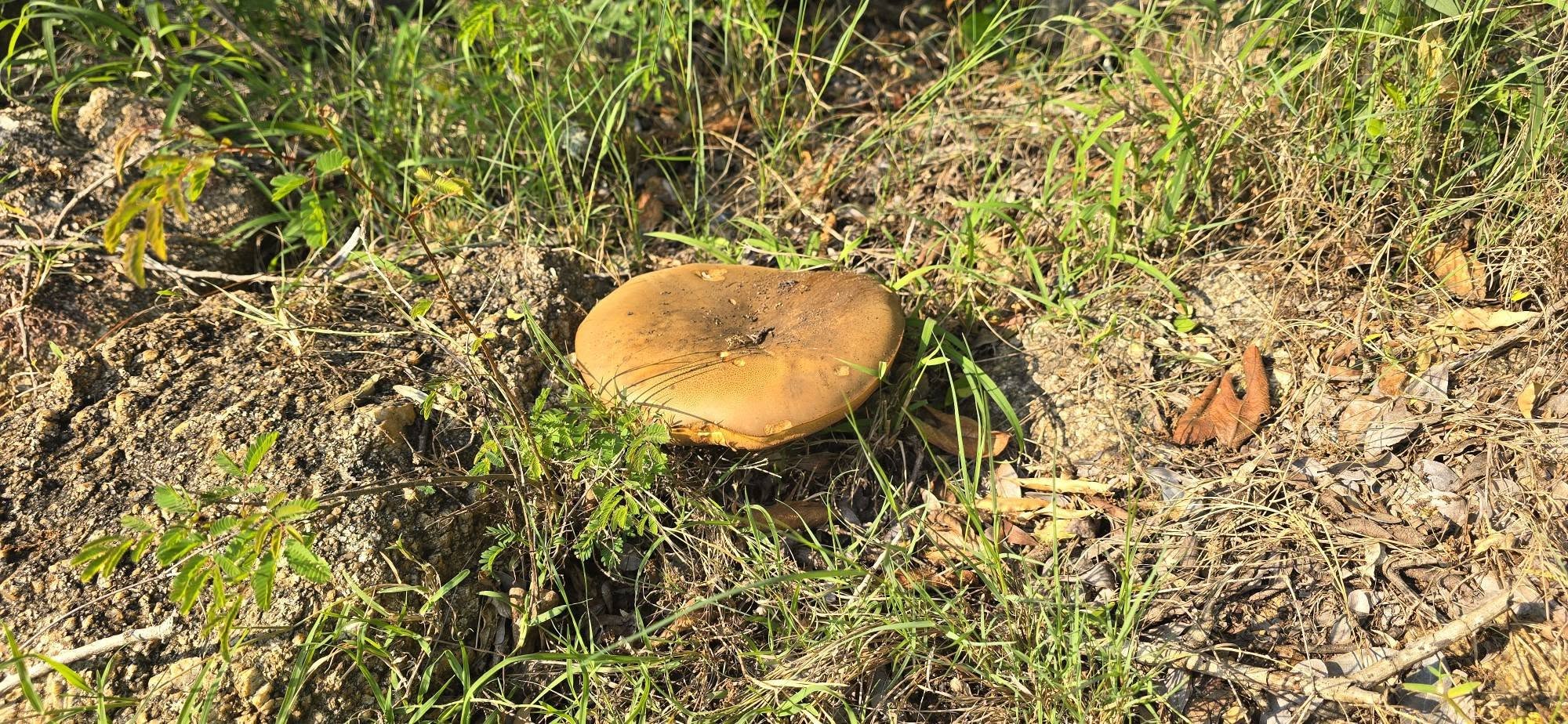 663217506_10162767840821463_5266680311922082909_n