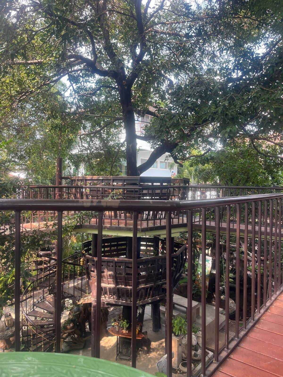 648965182_27316727467916726_4136160581211047642_n