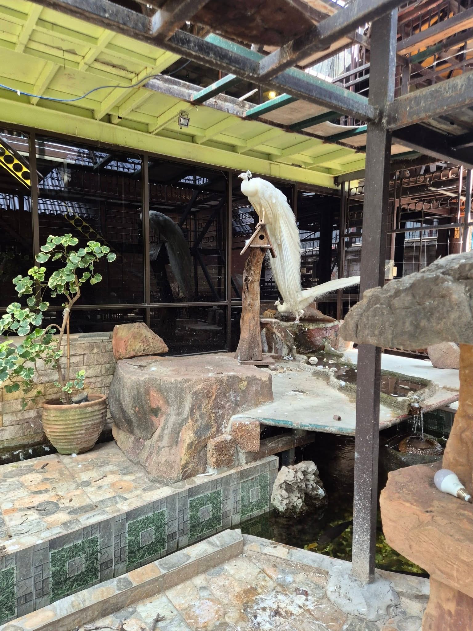 648979860_27316724747916998_6632476234203242299_n