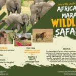 Wildlife_Tukutane_safaris_